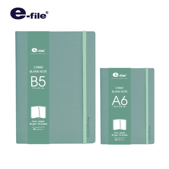 https://www.sakura.in.th/products/e-file-cnb41cnb42