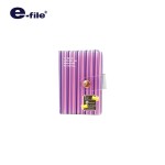 Card Holder e-file