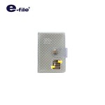Card Holder e-file