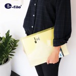 แฟ้มโฮลเดอร์ แฟ้มโชว์เอกสาร 20 ซอง ปกสอด e-file 760A