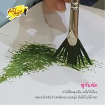 พู่กันพัด i-Paint IP-BR-FAN