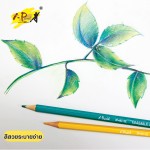 Color Pencils Erasable i-Paint IP-PC-12, IP-PC-24