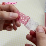 Ribbon & Lace Border La'boom LPT05