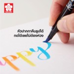 เซ็ตปากกาพู่กัน Koi SAKURA XBR-SET