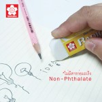 RADIC Eraser SAKURA XRNP-H100TH