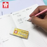 RADIC Eraser SAKURA XRNP-H100TH